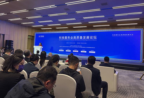 數(shù)智賦能 驅動未來 信息技術咨詢服務在2026中關村論壇年會上的新角色與使命
